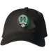 Manhattan Stealie Dad Hat