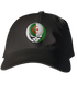Algeria FIFA World Cup Stealie Dad Hat