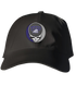 TCU Stealie Dad Hat