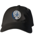 Drake Stealie Dad Hat