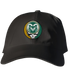Colorado State Stealie Dad Hat