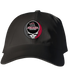 Arcadia Stealie Dad Hat