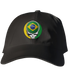 Brazil FIFA World Cup Stealie Dad Hat