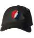 Classic Stealie Dad Hat