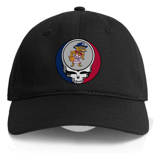 University of Arizona Stealie Dad Hat