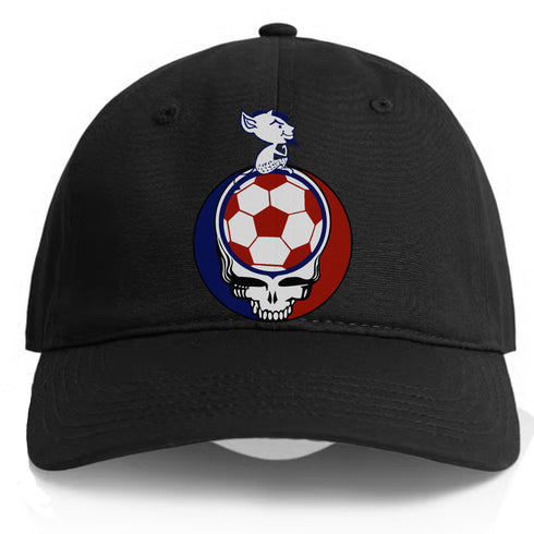 Depaul Billy Blue Stealie Dad Hat
