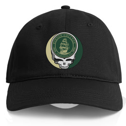 Babson College Stealie Dad Hat