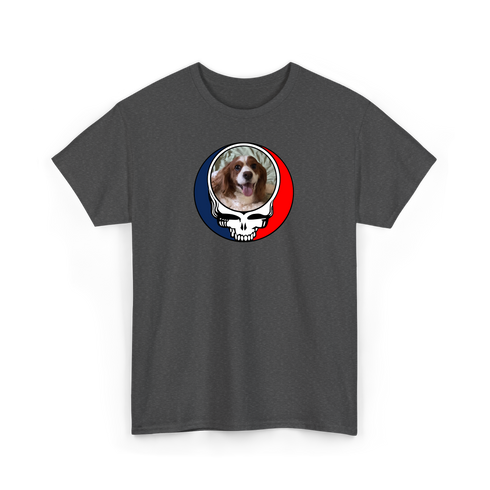 1712 - Custom Stealie T-Shirt