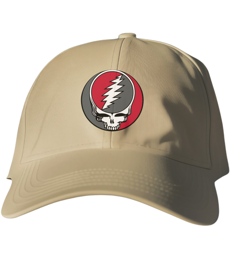 Houston Stealie Dad Hat