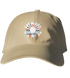 USA Stealie Dad Hat