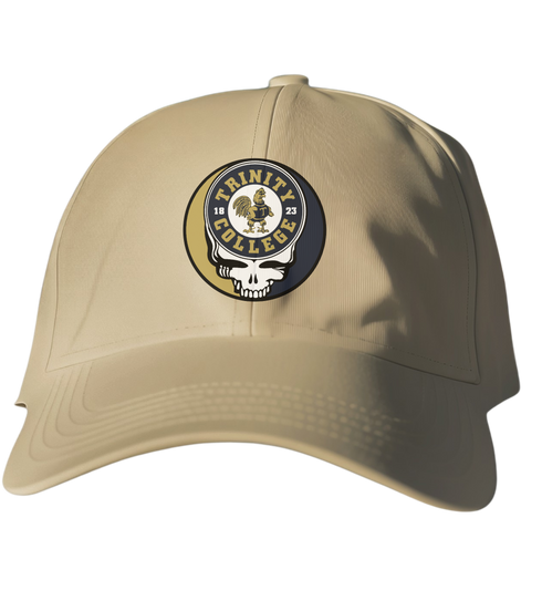 Trinity Stealie Dad Hat