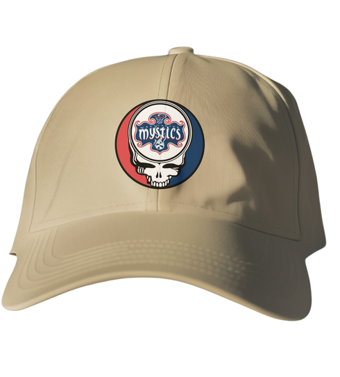 Washington Mystics Stealie Dad Hat