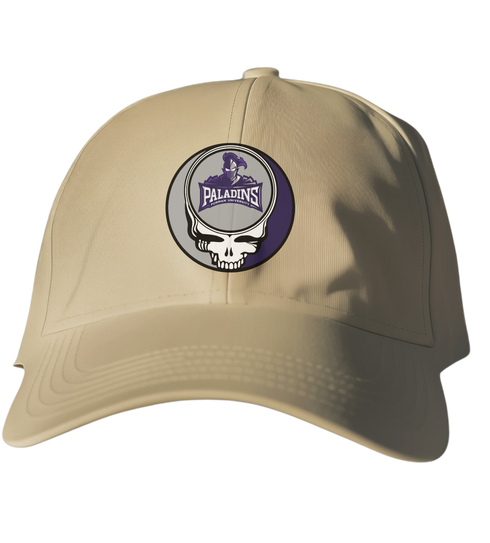 Furman Stealie Dad Hat