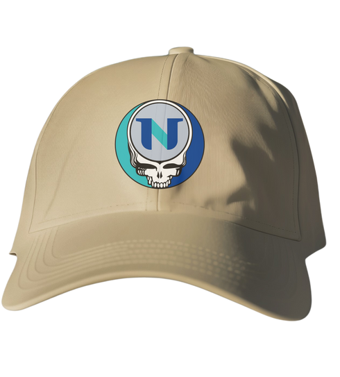 National University Stealie Dad Hat