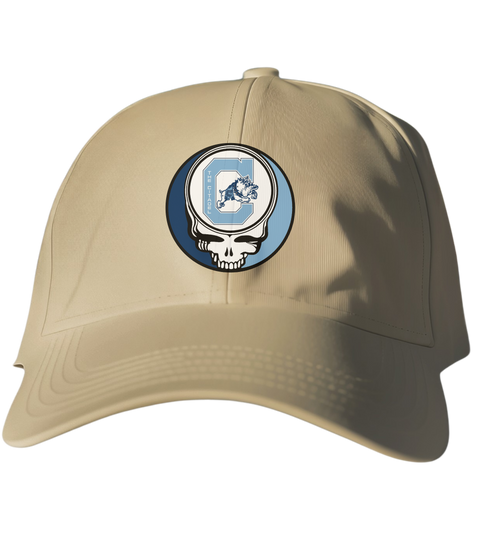 Citadel Stealie Dad Hat