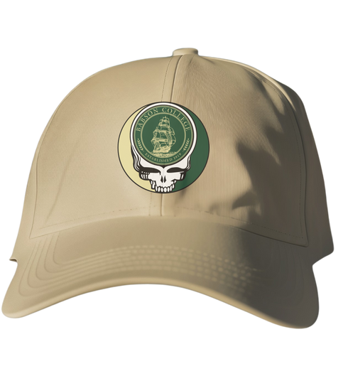 Babson Stealie Dad Hat