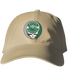 Babson Stealie Dad Hat