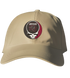 Albany Collegy of Pharmacy Stealie Dad Hat