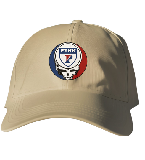 University of Pennsylvania Stealie Dad Hat