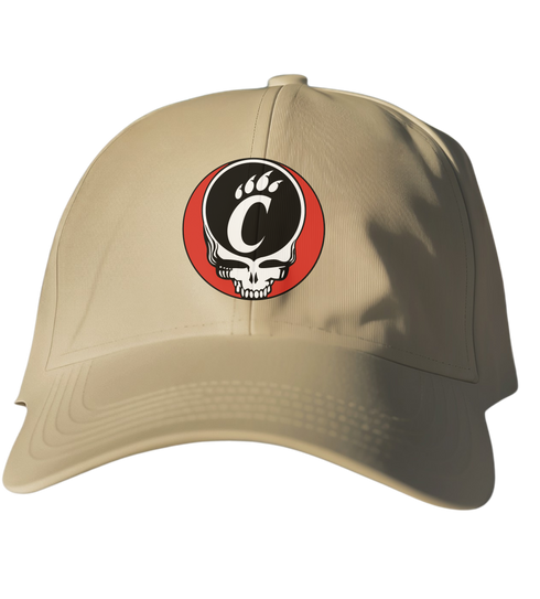 University of Cincinnati Stealie Dad Hat