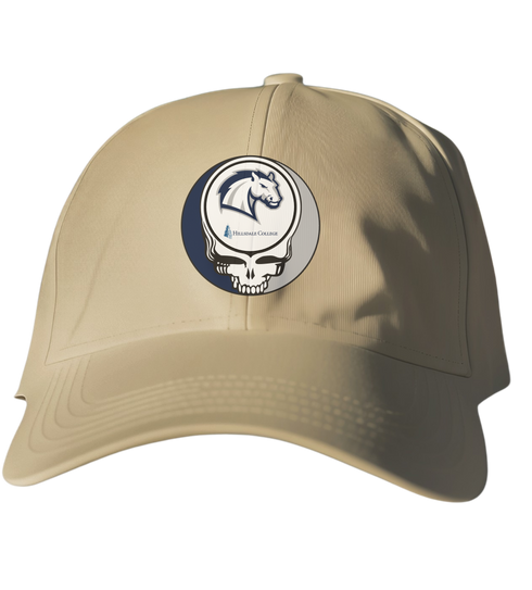 Hillsdale College Stealie Dad Hat