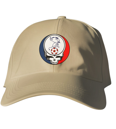 Depaul Billy Blue Stealie Dad Hat