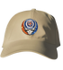 Detroit Tigers Crystal Stealie Stealie Dad Hat