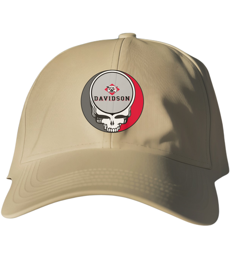 Davidson Stealie Dad Hat