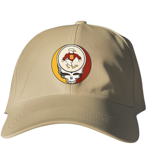 Salisbury Stealie Dad Hat