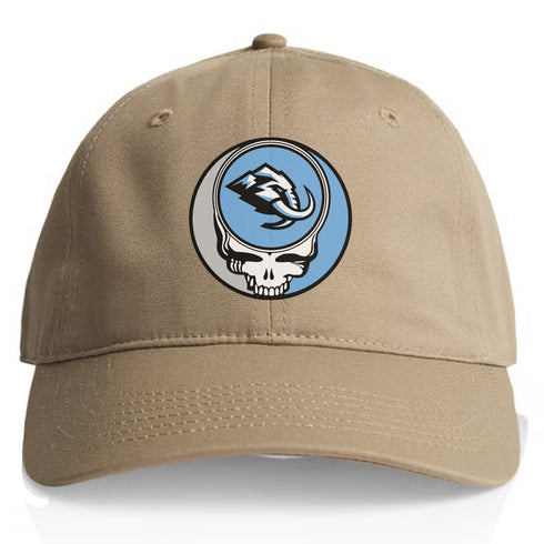 Utah Mammoth Stealie Dad Hat