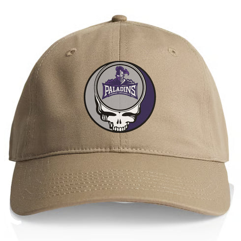 Furman Stealie Dad Hat