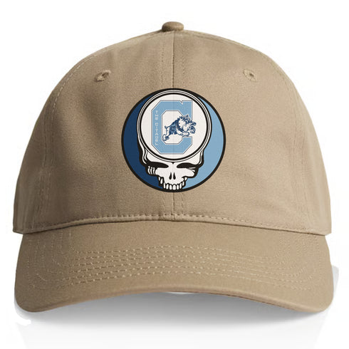 Citadel Stealie Dad Hat
