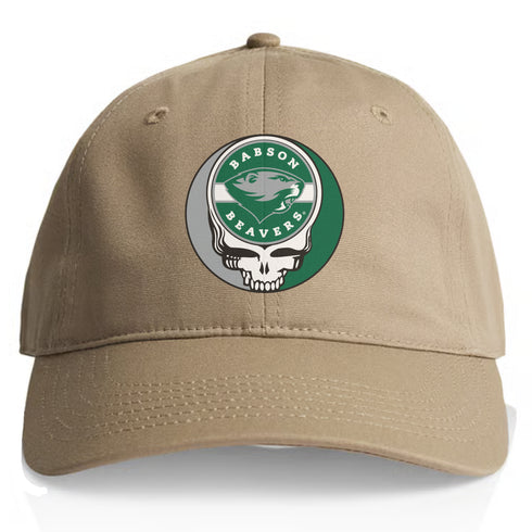 Babson College Stealie Dad Hat