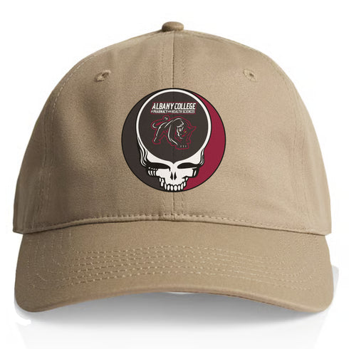 Albany Collegy of Pharmacy Stealie Dad Hat