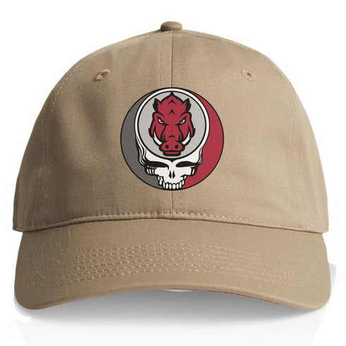 University of Arkansas Stealie Dad Hat