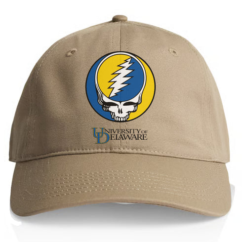 University of Delaware Stealie Dad Hat