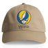 University of Delaware Stealie Dad Hat