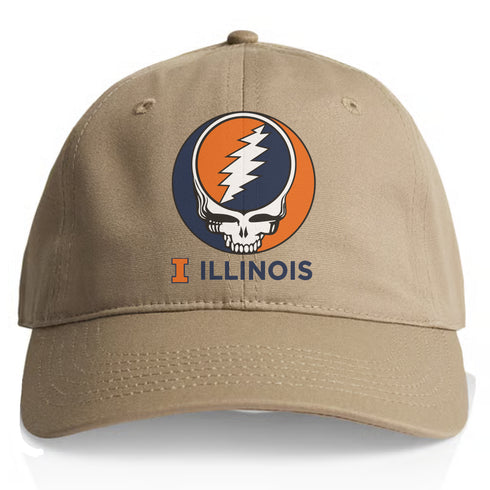 University of Illinois Stealie Dad Hat