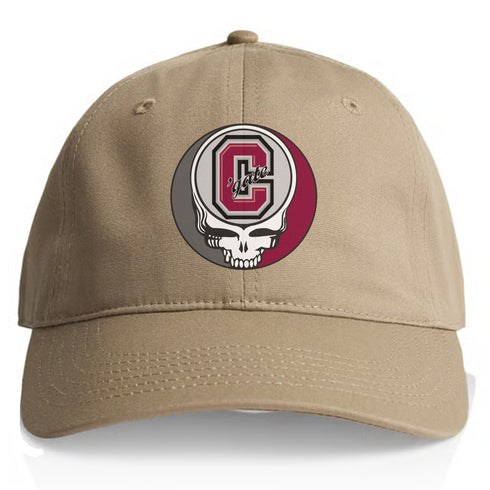 Colgate University Stealie Dad Hat