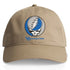 University of Buffalo Stealie Dad Hat