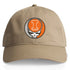 University of Illinois Stealie Dad Hat