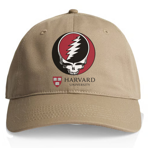 Harvard University Stealie Dad Hat
