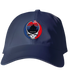 America 250 Iwojima Stealie - Life is dead.® Dad Hat