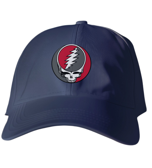 Houston Stealie Dad Hat