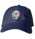Southern Illinois Stealie Dad Hat