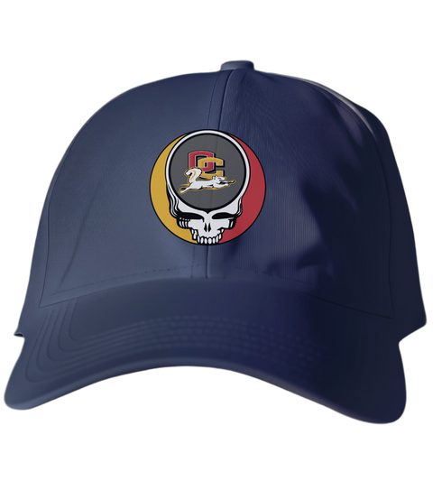Oberlin Stealie Dad Hat