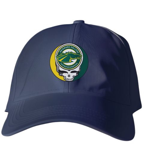 Skidmore Stealie Dad Hat