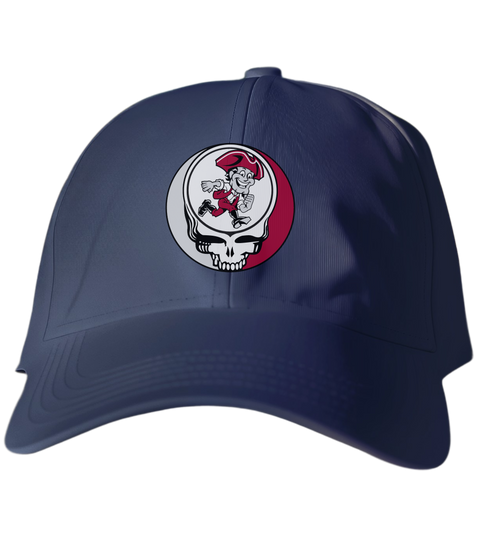 Umass Amherst Stealie Dad Hat