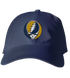 Notre Dame Stealie Dad Hat