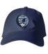 Grizzlies Stealie Dad Hat